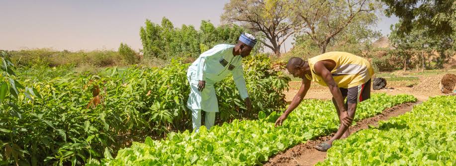 Retour sur le sommet panafricain de l'entrepreneuriat